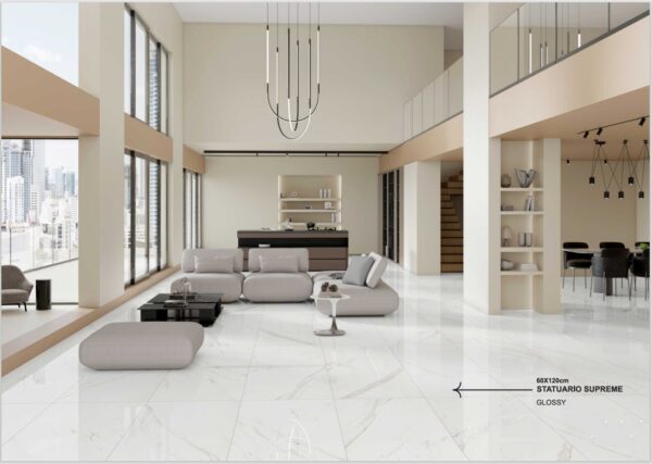 tiles polished 60x120 wall & floor